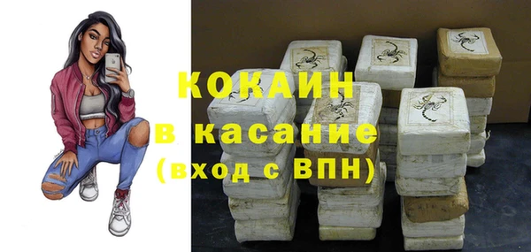 стаф Нея