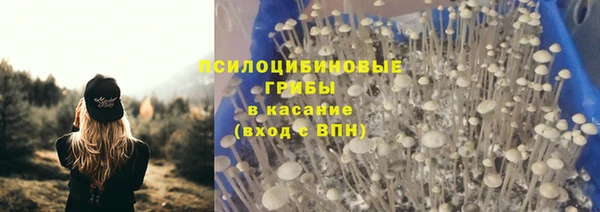 стаф Нея