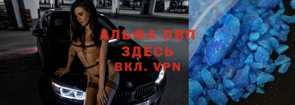 стаф Нея