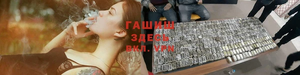 стаф Нея