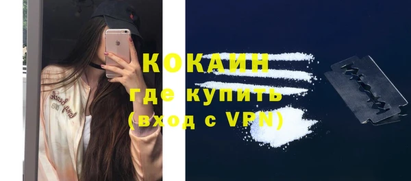 стаф Нея