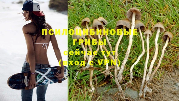 альфа пвп Нефтекумск