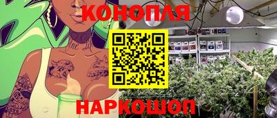 прущая мука Гатчина