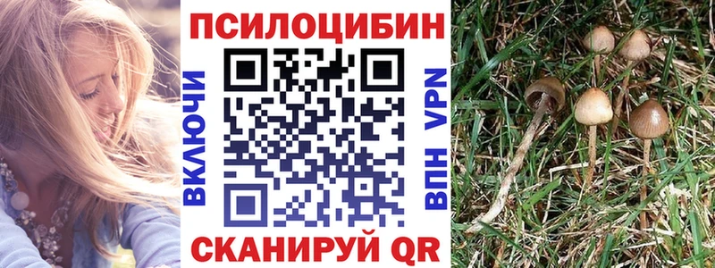 Галлюциногенные грибы Cubensis  купить наркотик  Новоалтайск 
