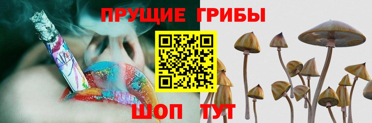 Галлюциногенные грибы MAGIC MUSHROOMS  Галлюциногенные грибы Magic Shrooms  Вход с VPN  Новоалтайск 